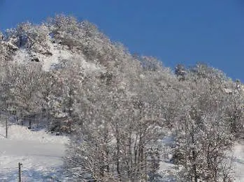 Alojamento de Turismo Rural Borgo Tiedoli *